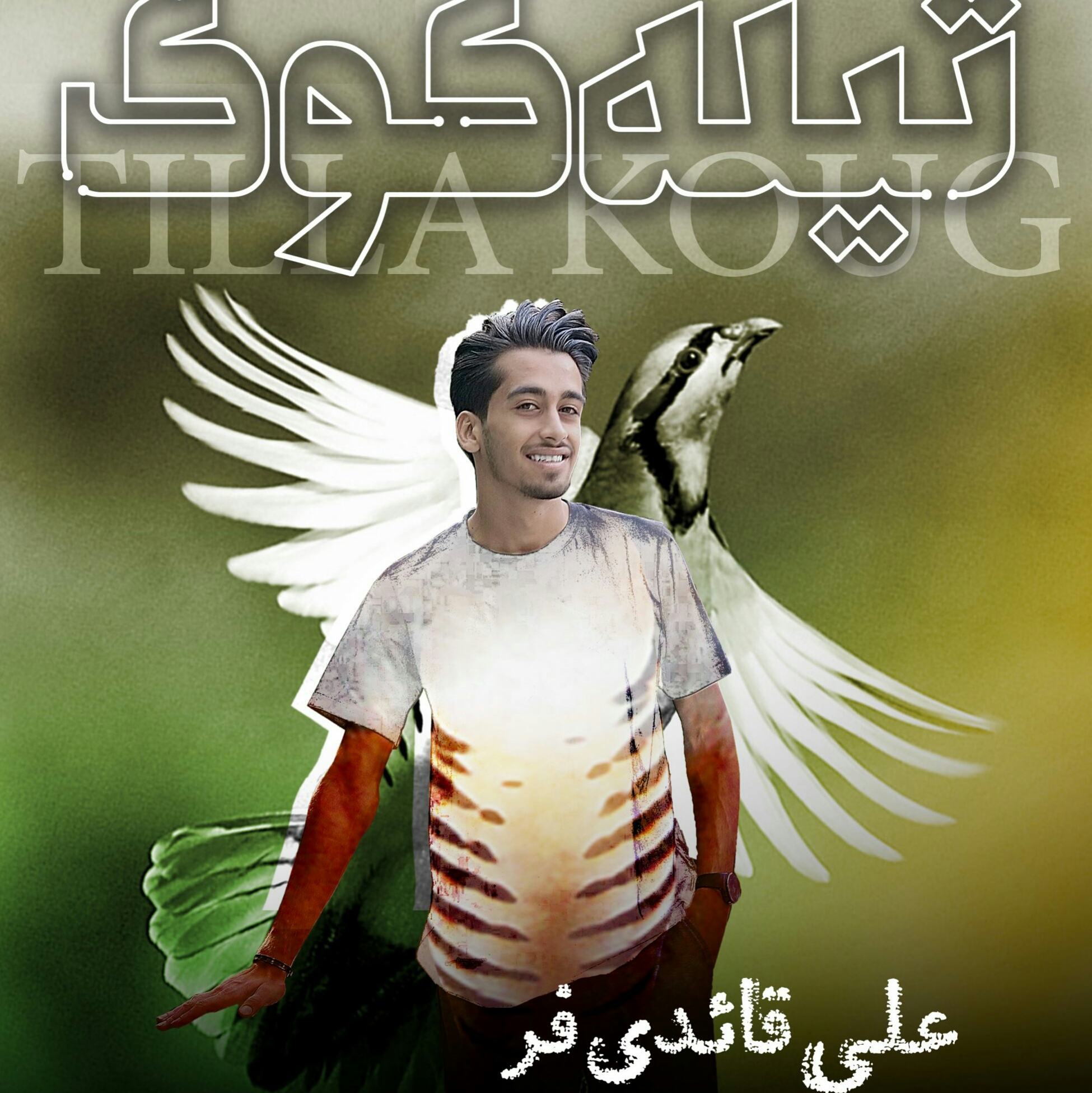 علی قائدی فر تیله کوگ